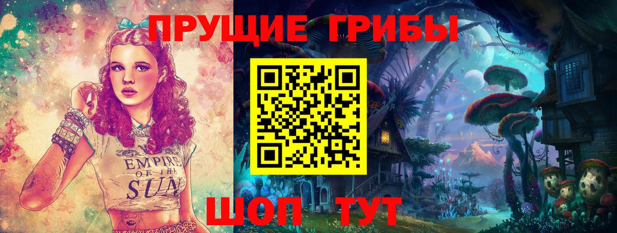 Псилоцибиновые грибы мицелий  Вход с VPN  Аргун 