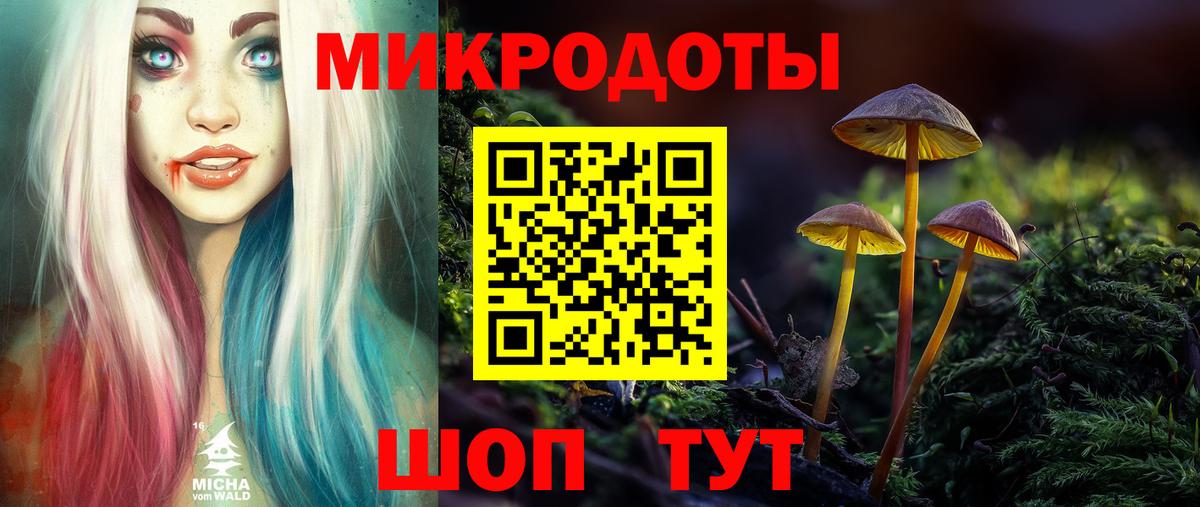 Галлюциногенные грибы Psilocybine cubensis Аргун