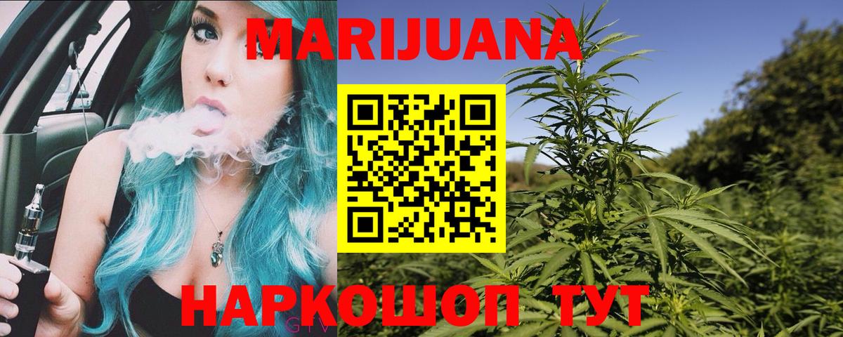 Шишки марихуана план  Вход с VPN  Бошки Шишки Bruce Banner  Конопля Amnesia  Аргун 